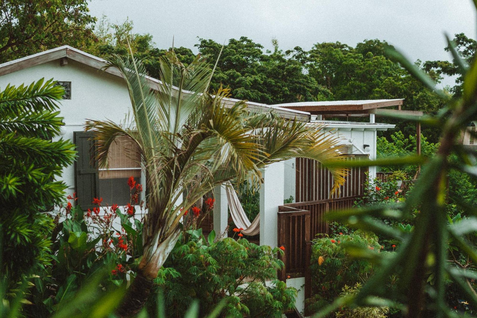 Finca Victoria Vieques Luaran gambar